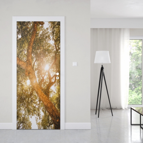 Preview: Türposter Baum im Sonnenlicht Preview: Türposter Baum im Sonnenlicht Maßanfertigung
