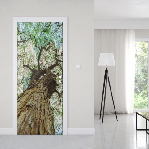 Preview: Türposter Schuppenrinden Baum Hickory Preview: Türposter Schuppenrinden Baum Hickory Maßanfertigung