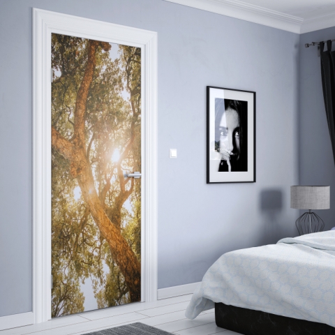 Preview: Türposter Baum im Sonnenlicht Preview: Türposter Baum im Sonnenlicht nach maß