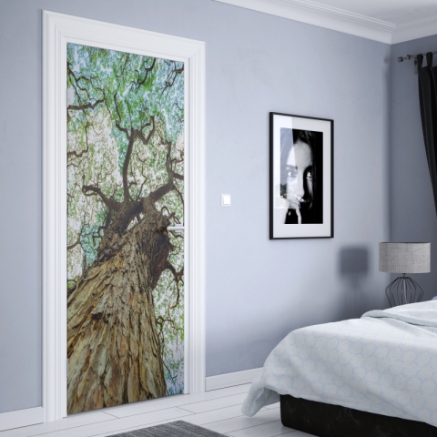 Preview: Türposter Schuppenrinden Baum Hickory Preview: Türposter Schuppenrinden Baum Hickory nach maß