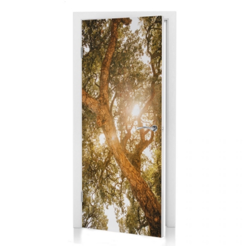 Preview: Türposter Baum im Sonnenlicht Preview: Türposter Baum im Sonnenlicht
