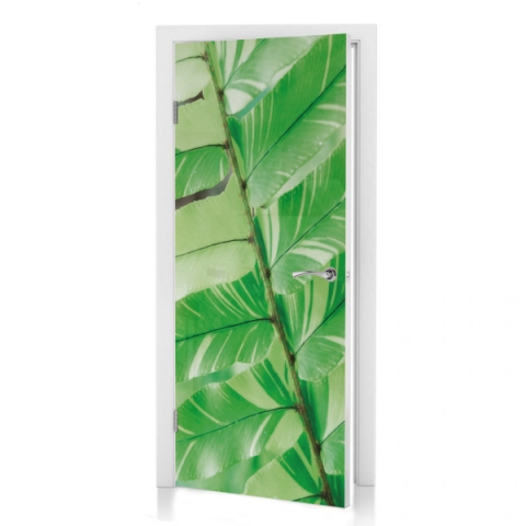 Preview: Türposter Pflanzenblatt Preview: Türposter Pflanzenblatt