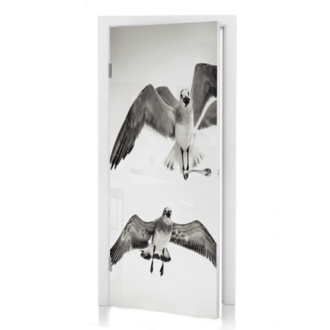 Preview: Türposter Möwen Preview: Türposter Möwen